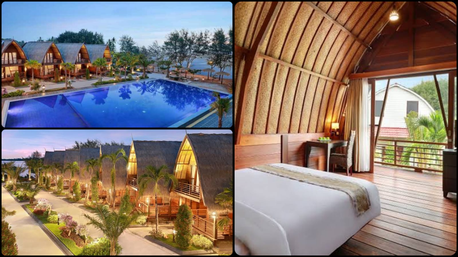 WhatsApp Image 2025-01-28 at 14.04.45