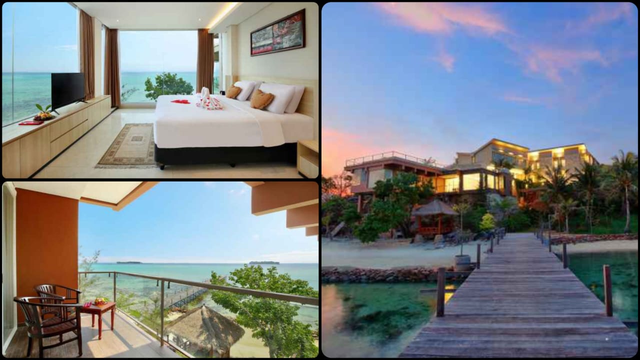 WhatsApp Image 2025-01-28 at 14.05.06