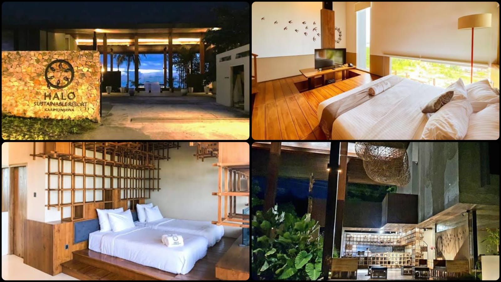 WhatsApp Image 2025-01-28 at 14.06.29