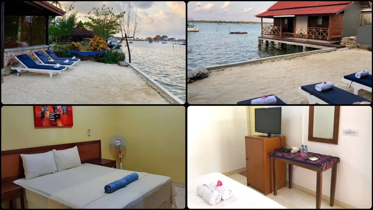 WhatsApp Image 2025-01-28 at 14.06.41